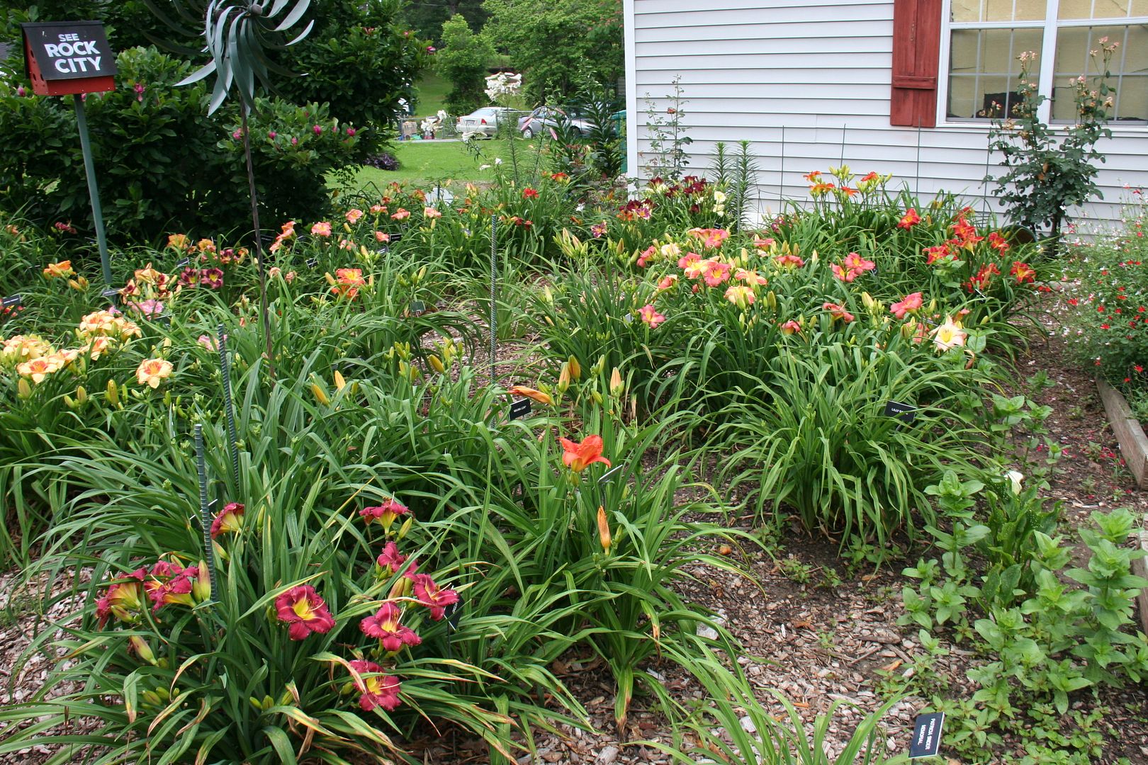  photo IMG_3724_zps12d5813a.jpg